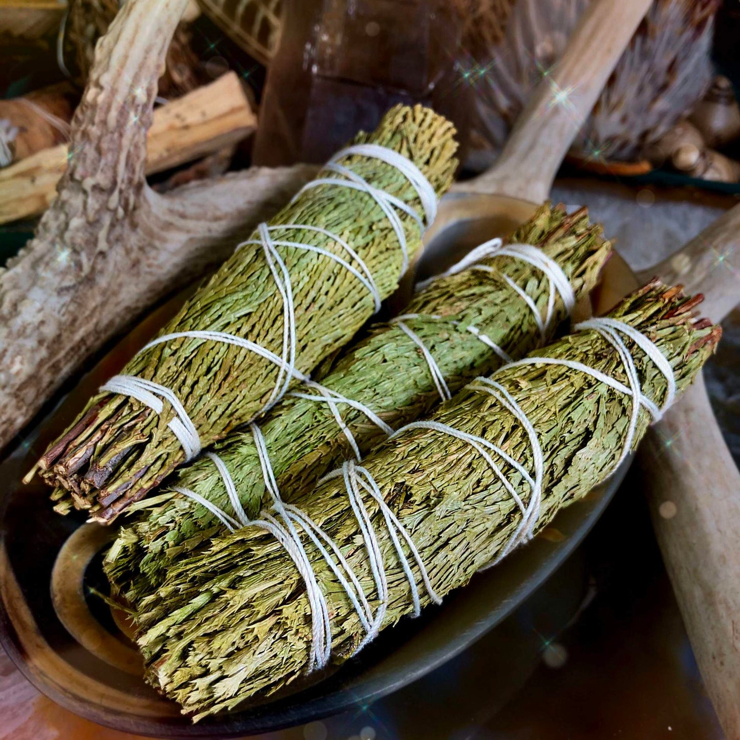 Cedar Tips